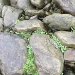 Sjonaer I Егерсунд